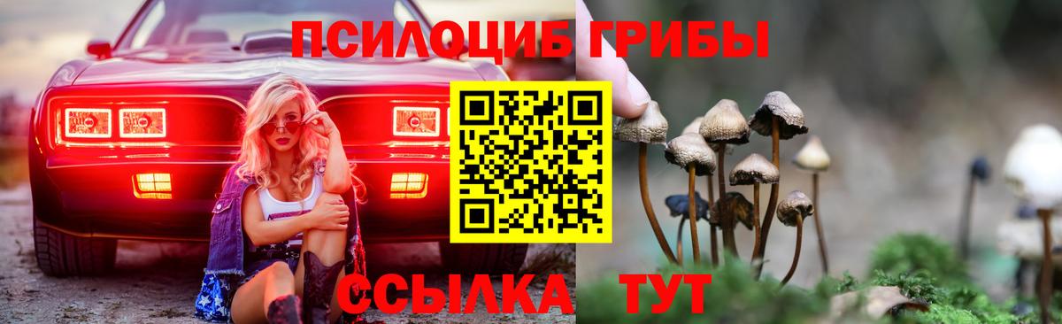 Галлюциногенные грибы Psilocybe Чапаевск